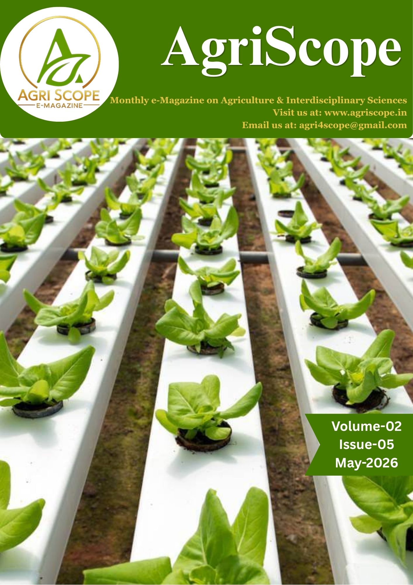 May 2026 Cover
